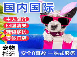长海机场物流国际宠物托运 【国